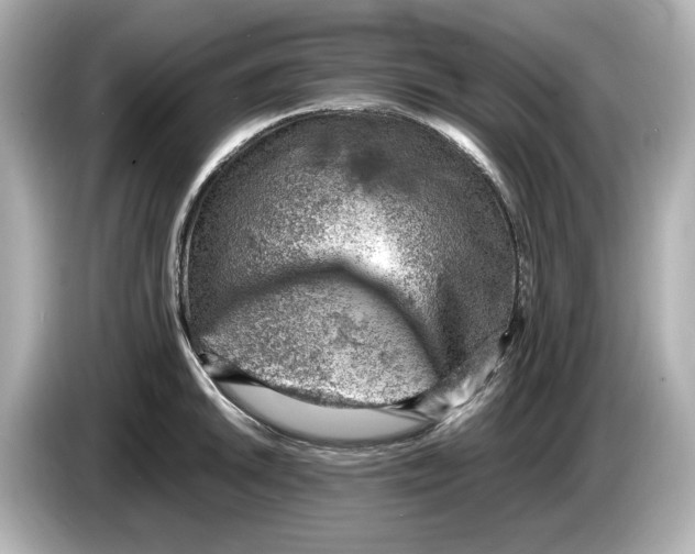 X0000085751046200704091312