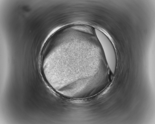 X0000085751048200704091312