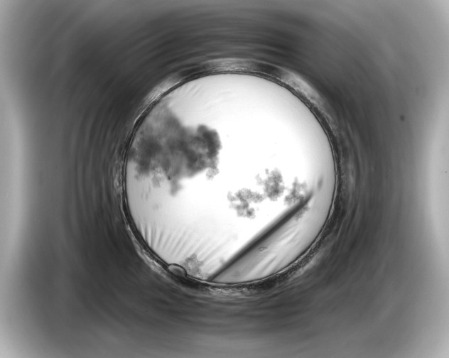 X0000085751049200704091312