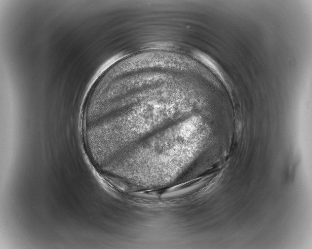 X0000085751050200704091312