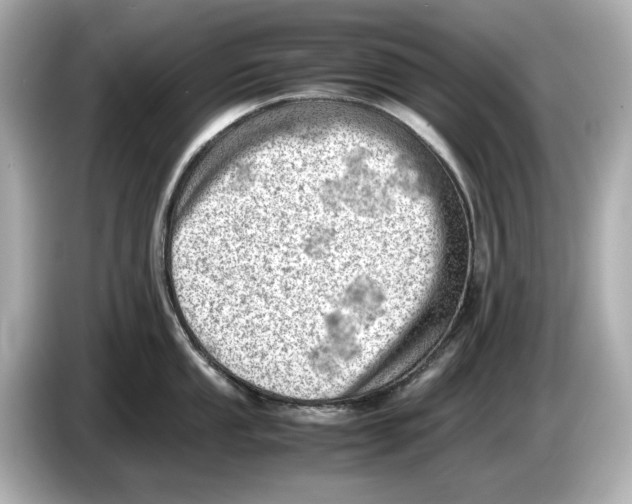 X0000085751053200704091312