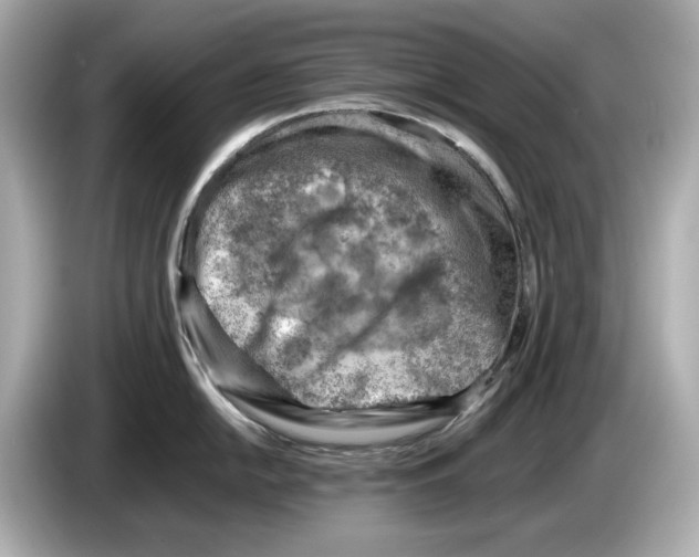 X0000085751054200704091312