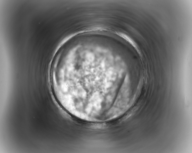 X0000085751055200704091312