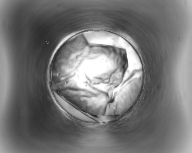 X0000085751056200704091312