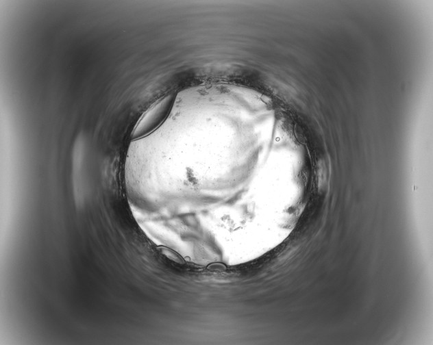 X0000085751059200704091312