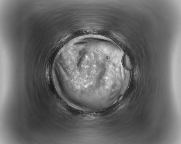 X0000085751060200704091312