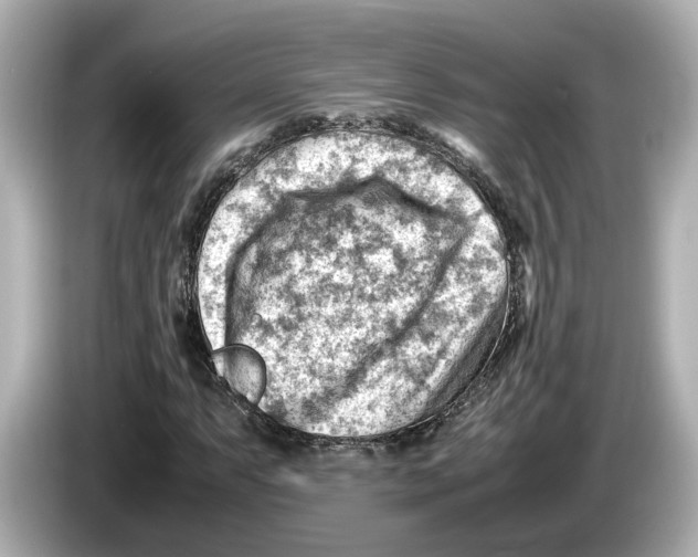 X0000085751063200704091312