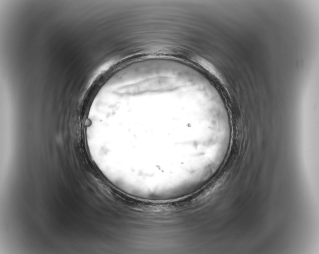 X0000085751067200704091312