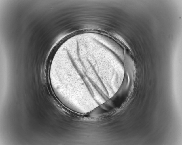 X0000085751068200704091312