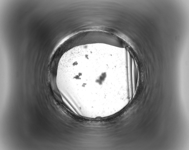 X0000085751069200704091312