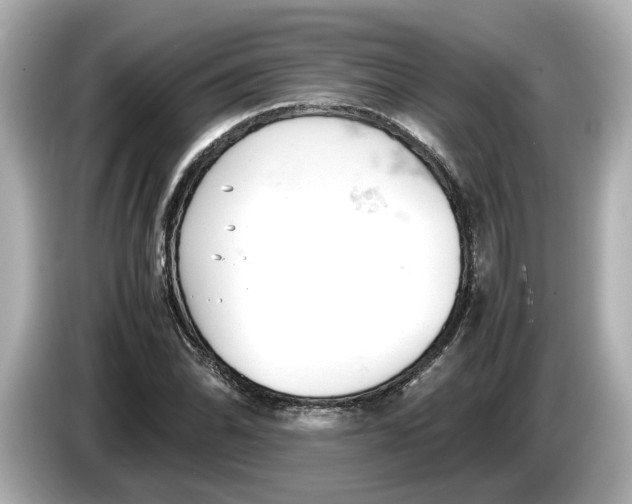 X0000085751070200704091312