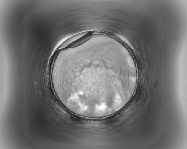 X0000085751071200704091312