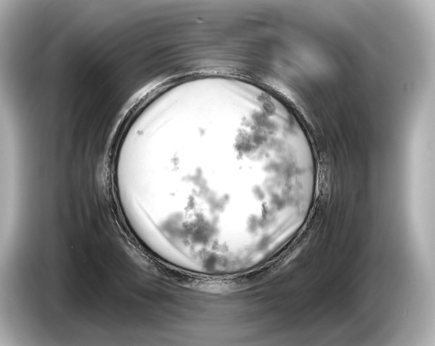 X0000085751074200704091312