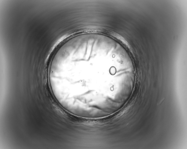 X0000085751075200704091312