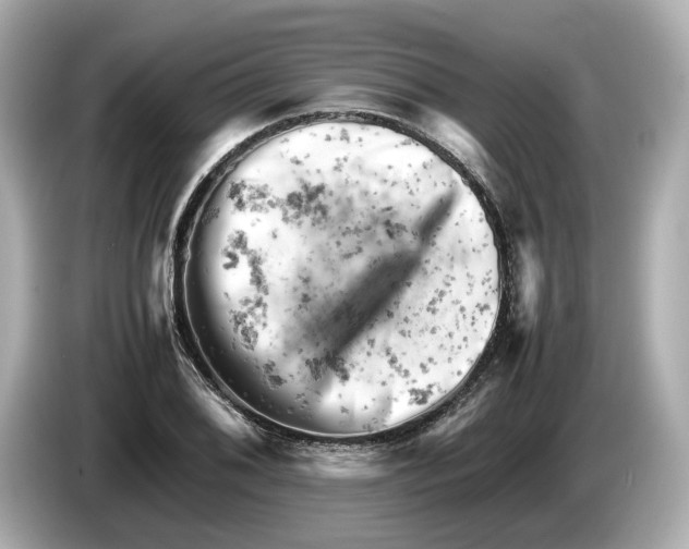 X0000085751076200704091312