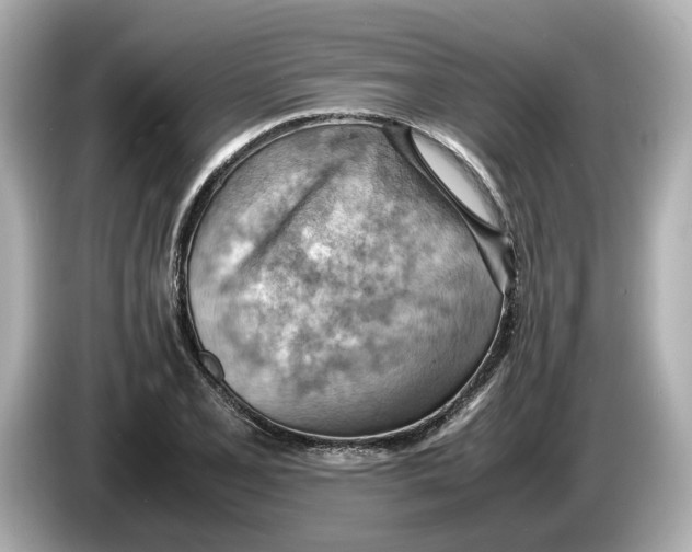 X0000085751077200704091312