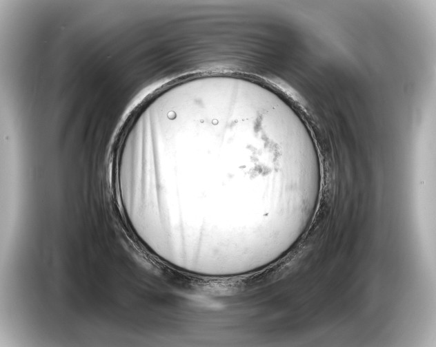 X0000085751078200704091312