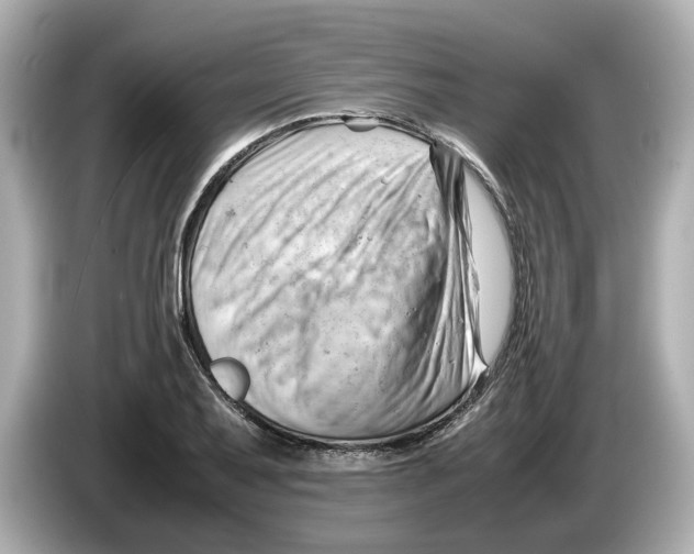 X0000085751079200704091312