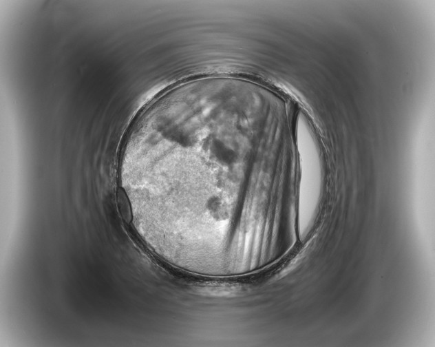 X0000085751081200704091312