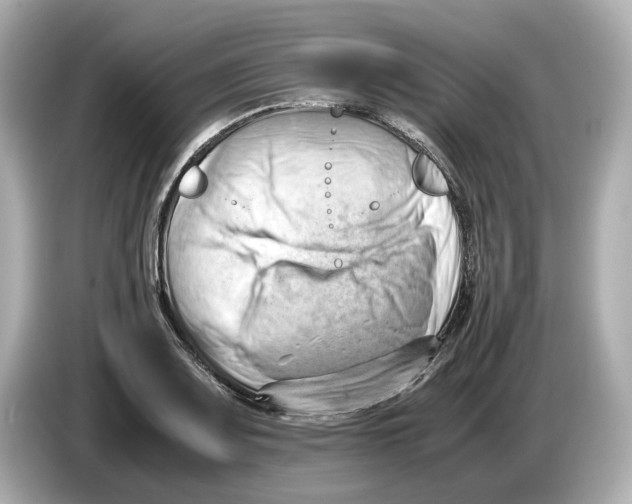 X0000085751083200704091311