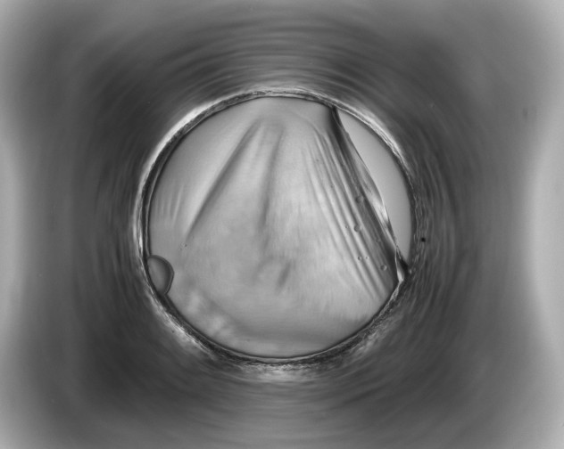 X0000085751084200704091311