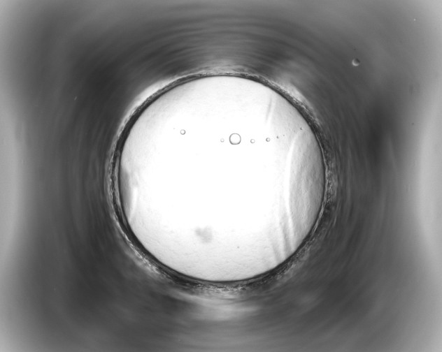 X0000085751086200704091311