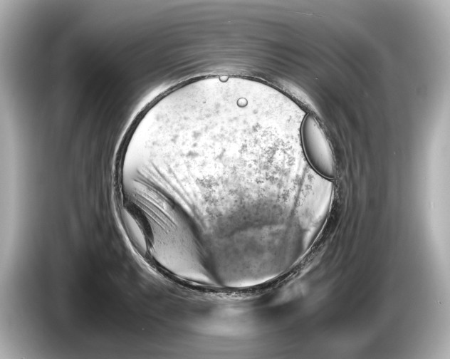 X0000085751087200704091311