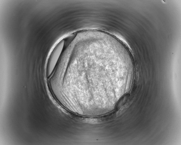 X0000085751088200704091311