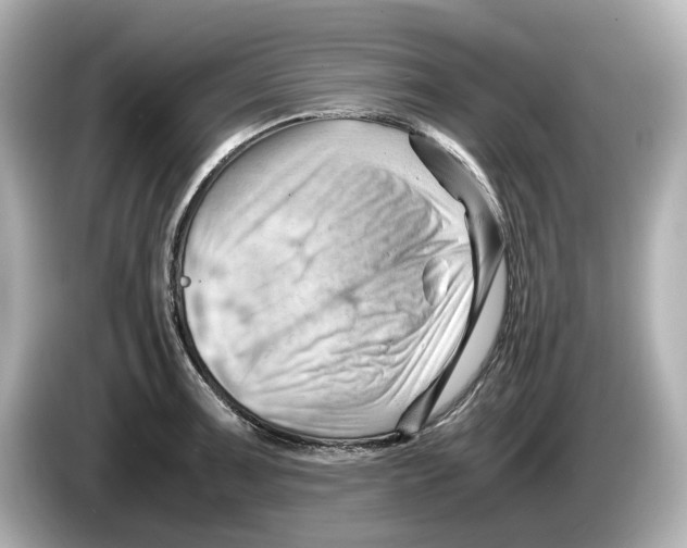 X0000085751091200704091311