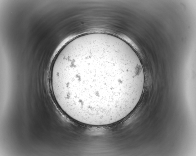 X0000085751094200704091311