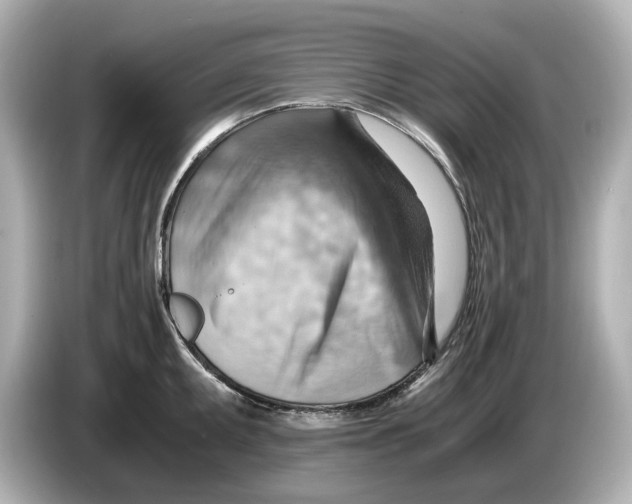 X0000085751095200704091311