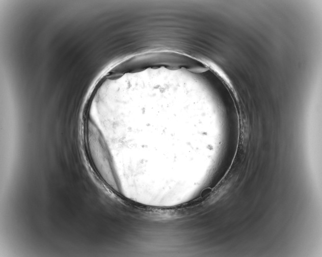 X0000085751096200704091311