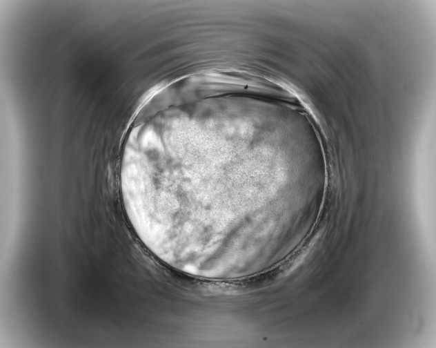 X0000085751097200704091311