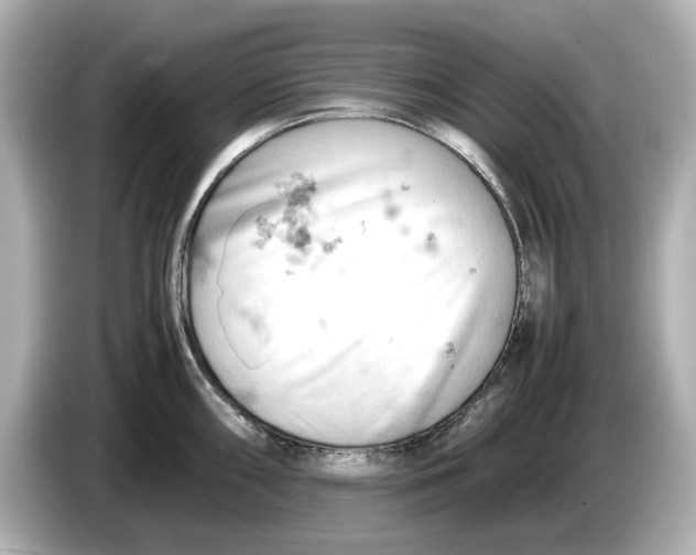 X0000085751098200704091311