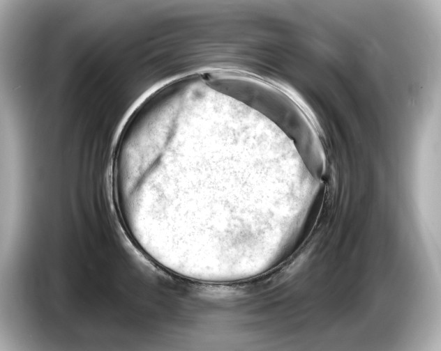 X0000085751100200704091311