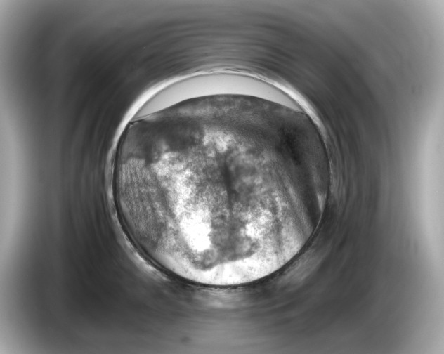 X0000085751102200704091311