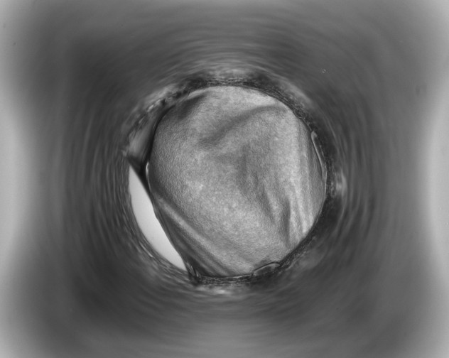 X0000085751108200704091311