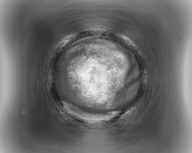 X0000085751110200704091311