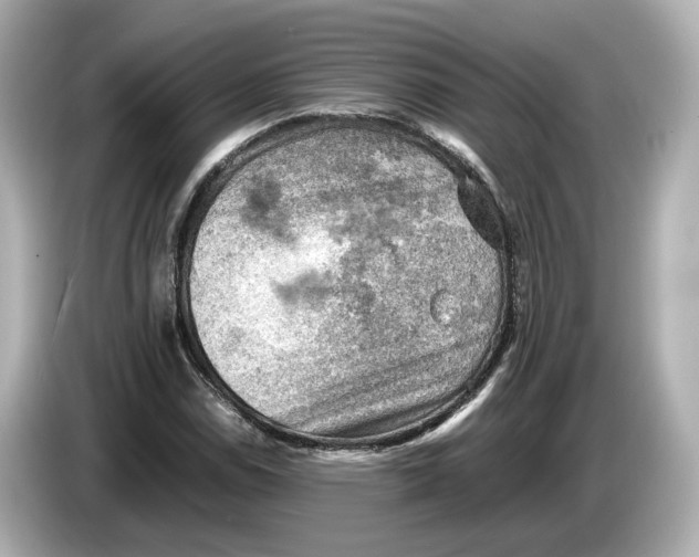 X0000085751114200704091311