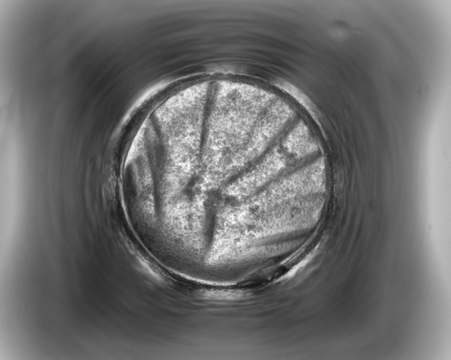 X0000085751115200704091311