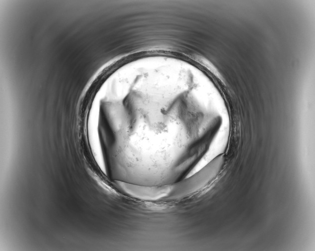 X0000085751116200704091311