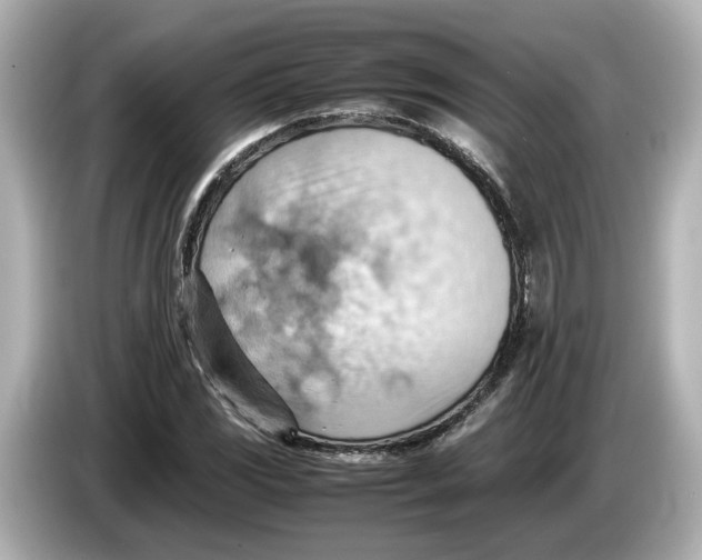 X0000085751117200704091311