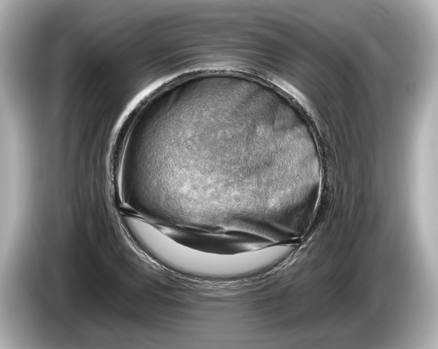 X0000085751120200704091311