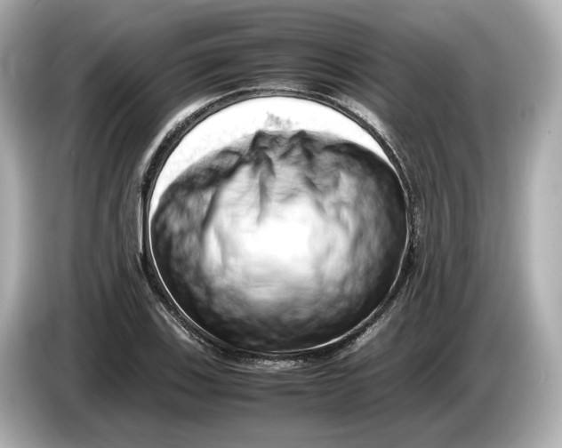 X0000085751123200704091311