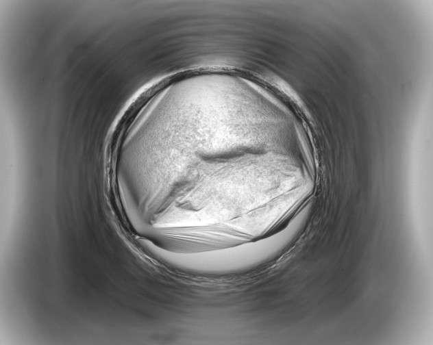 X0000085751124200704091311