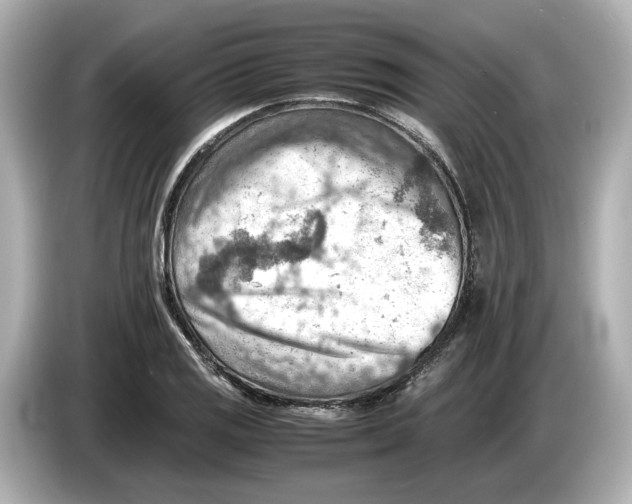 X0000085751125200704091311