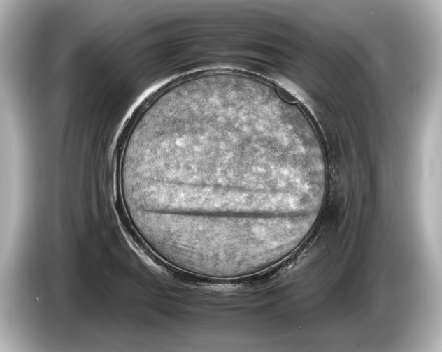 X0000085751127200704091311