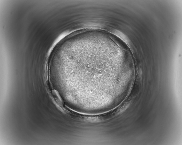 X0000085751128200704091311