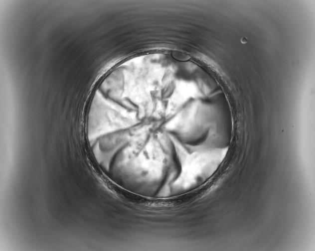 X0000085751129200704091311