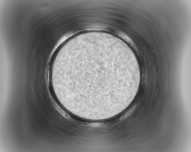 X0000085751130200704091311